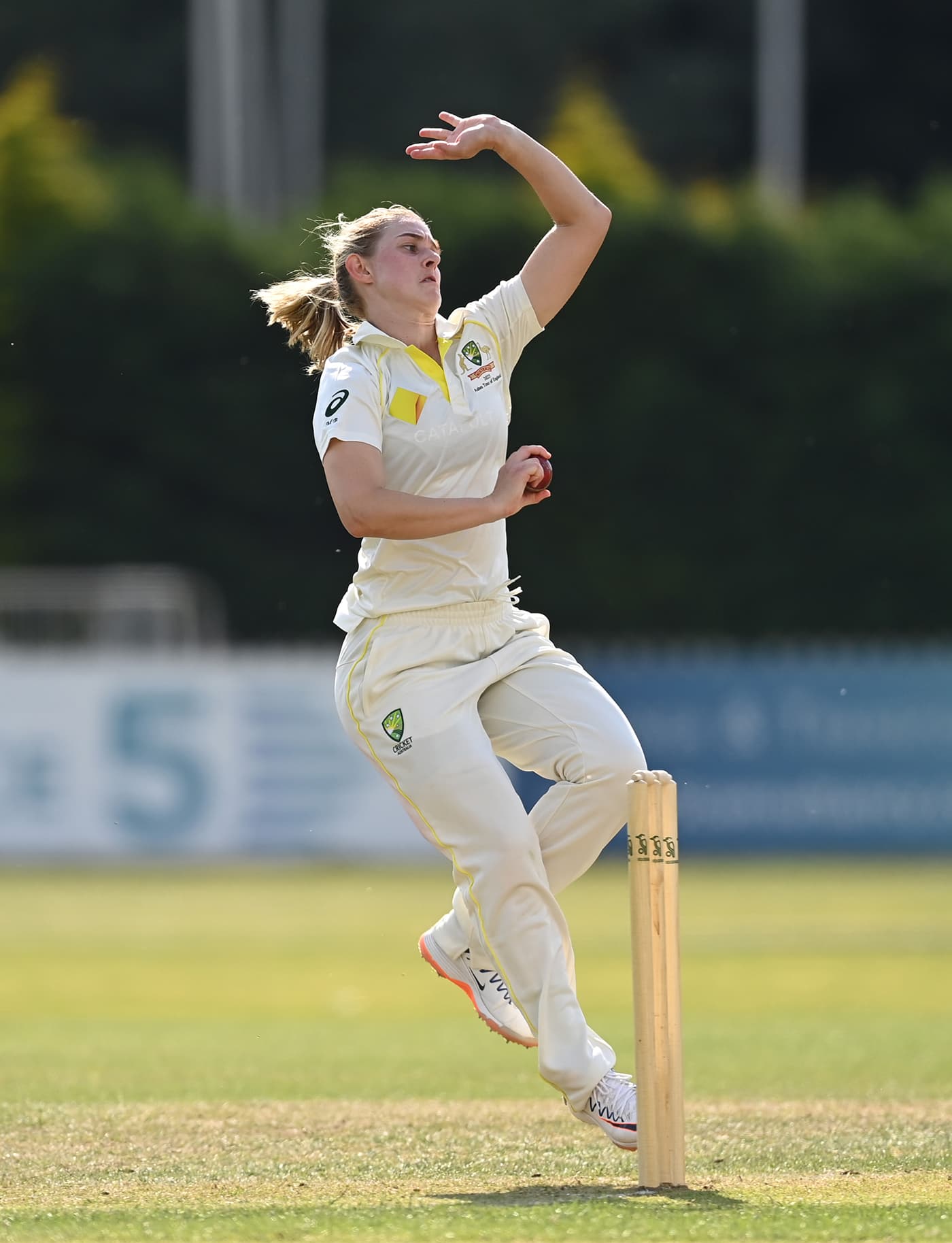 Surrey bring in Maitlan Brown for start of One-Day Cup